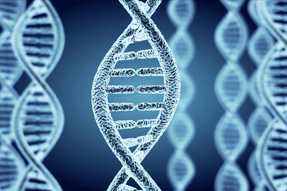 女性乳晕颜色会一成不变吗?为啥有人乳晕颜色深,有人颜色浅?