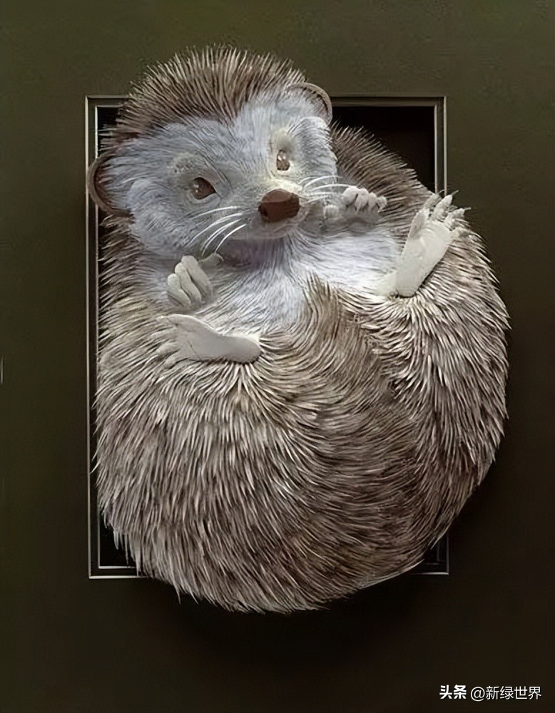 一组纸艺作品,令人惊艳的纸艺作品