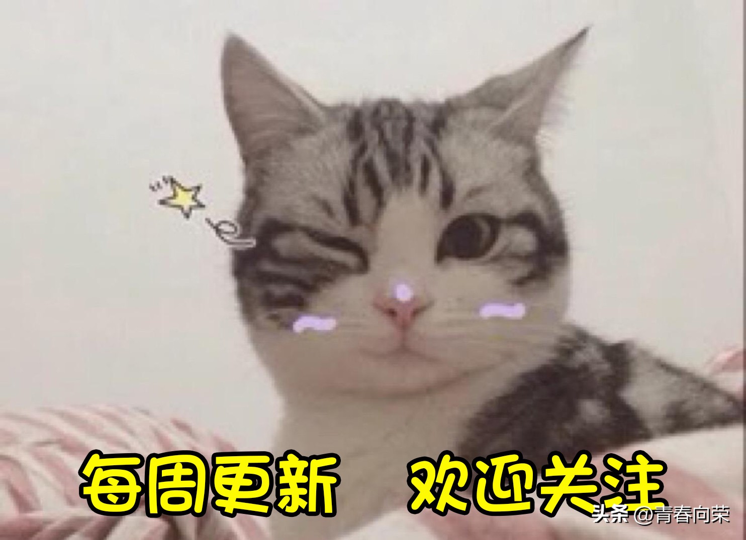 新手入坑switch买新的还是买旧的,买前必看switch入坑指南