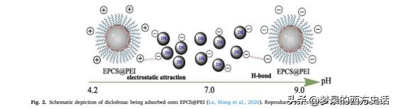 改性壳聚糖吸附重金属离子,改性活性炭吸附实验报告