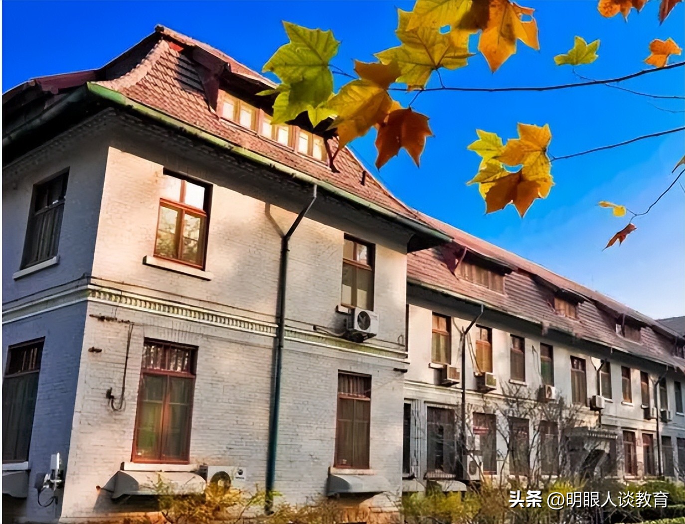 不止青岛大学痛失211,多所消失的211大学,是多少人心中的遗憾?