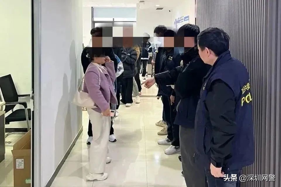 #净网2023#视频VIP一号通?网友:没想到危害这么大!