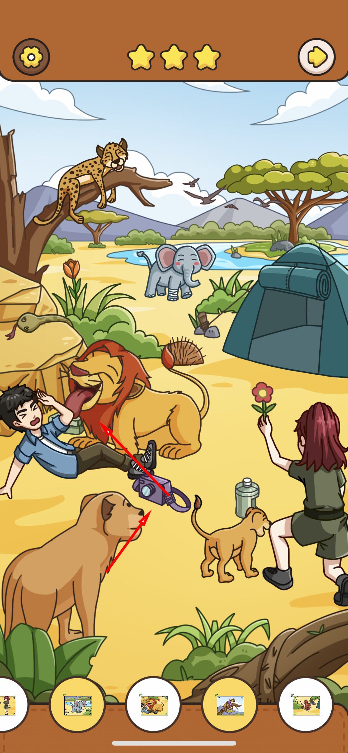 我眼神儿贼好！重返非洲攻略