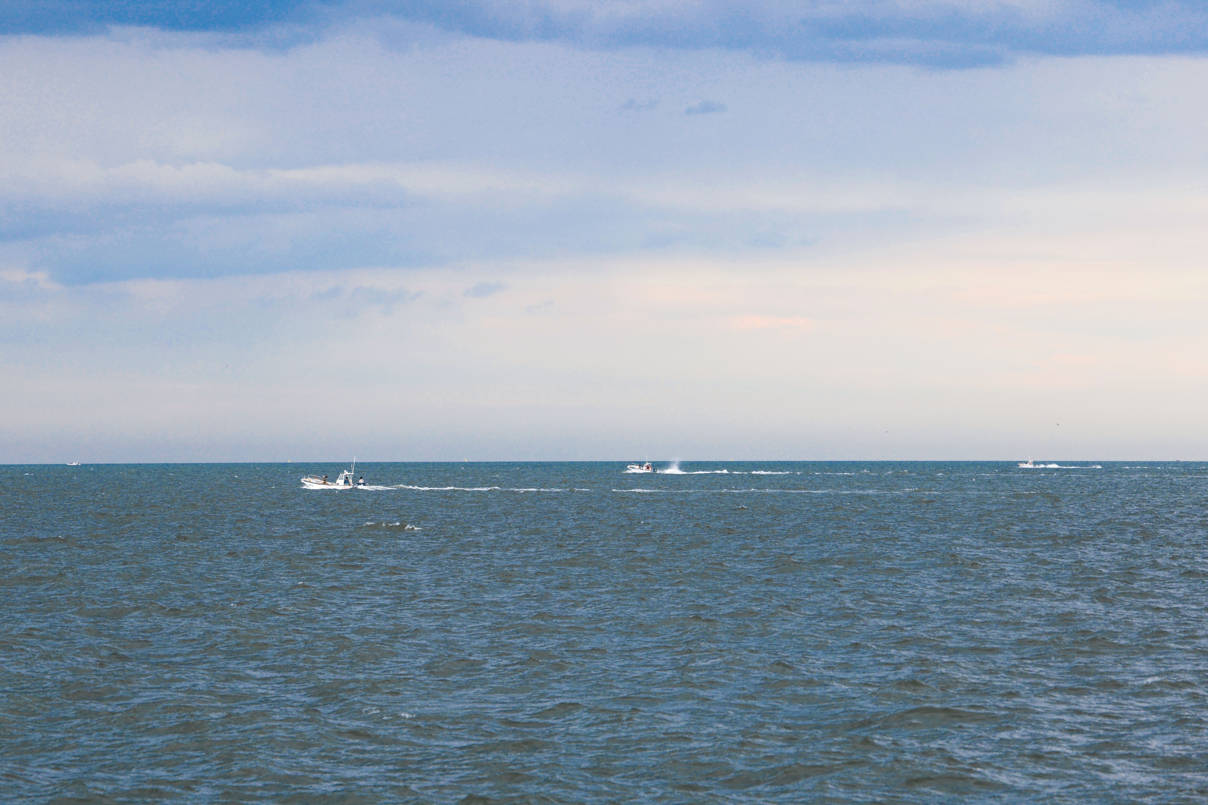 遛娃津南区公园,天津生态公园亲子游