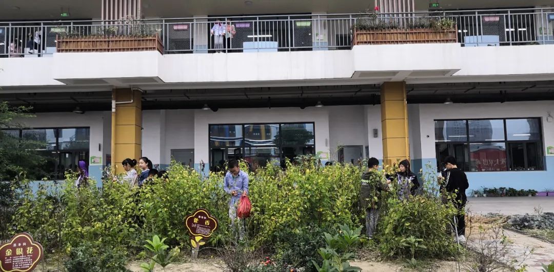 泰州凤凰小学施教区,泰州凤凰小学教育机构