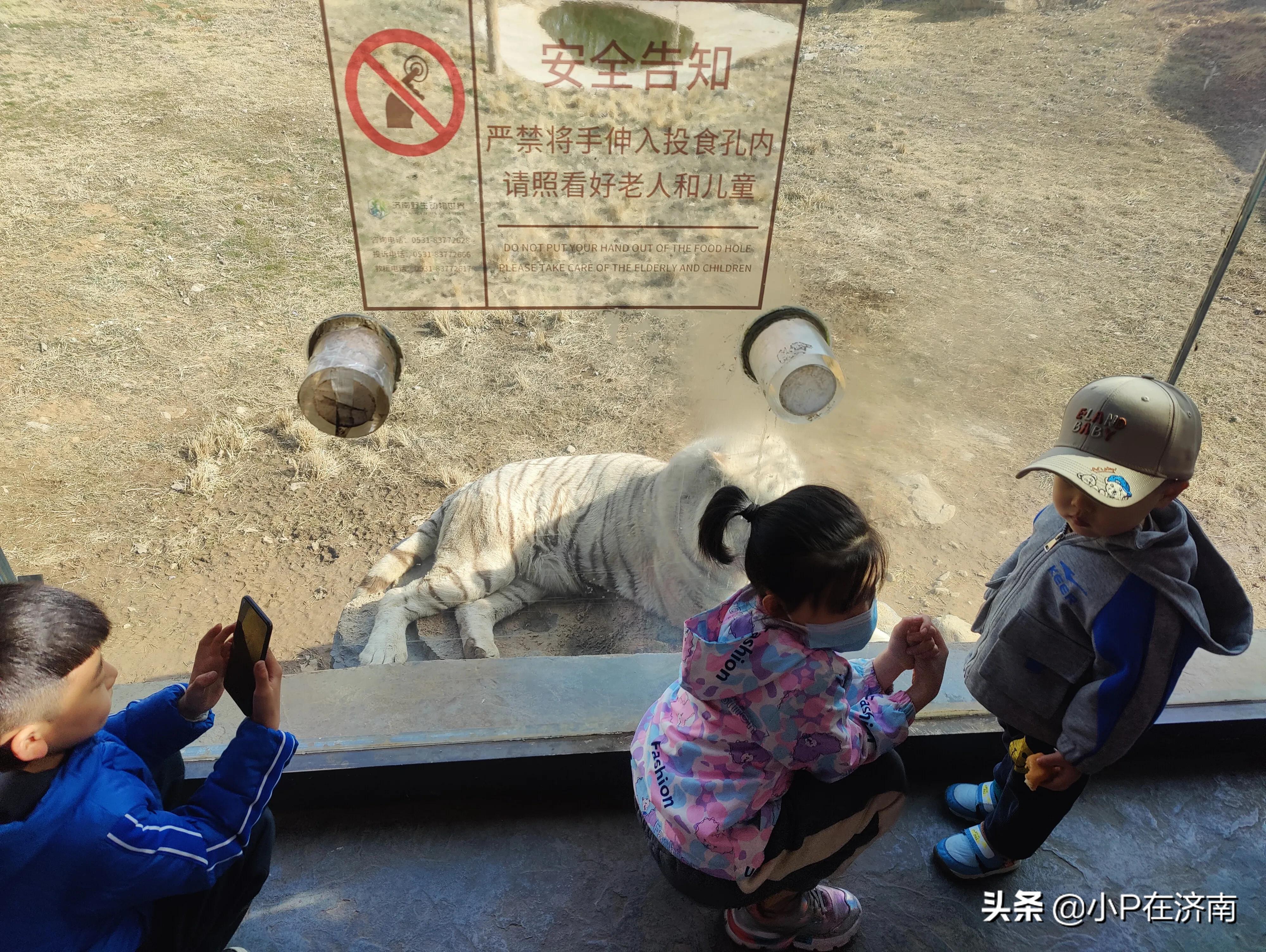 何为野生动物园,成都野生动物园