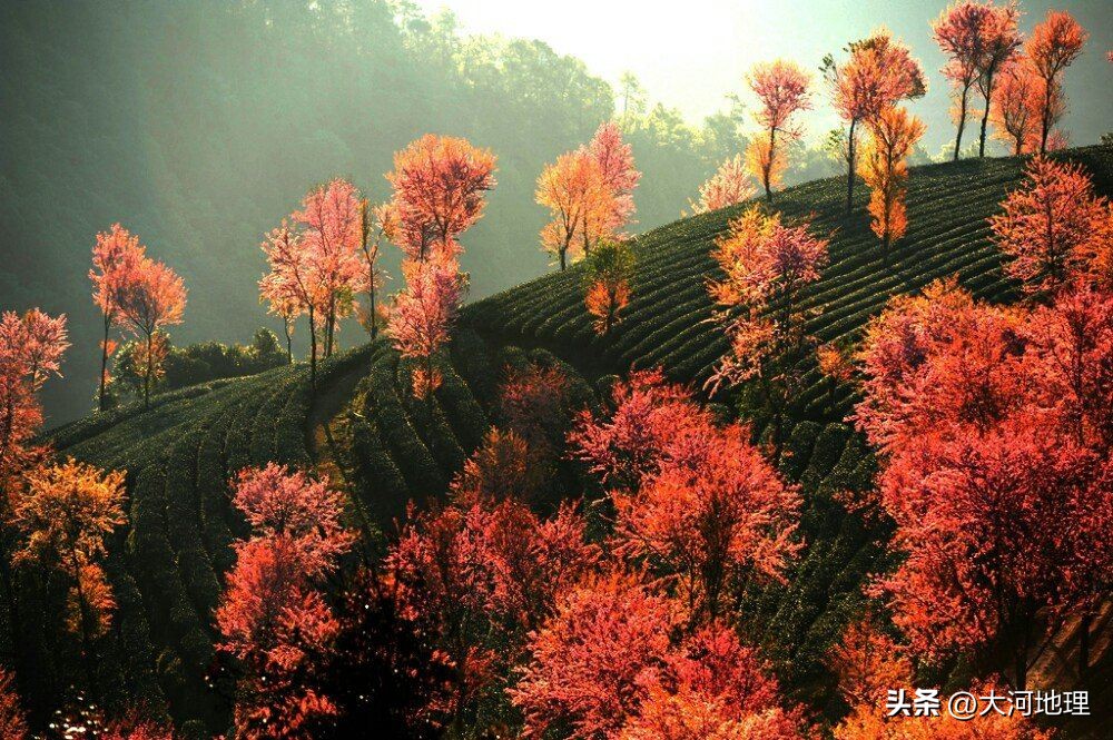 中国南方这30个景点,难说多知名,但敢说它的秋色最艳最浪漫