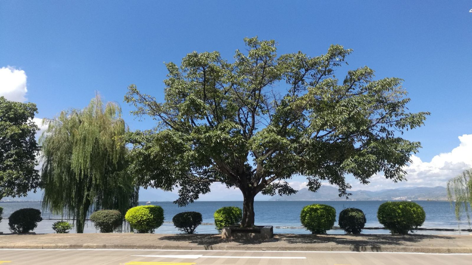 云南旅游景点大全最值得去的,云南旅游景点有哪些好玩的