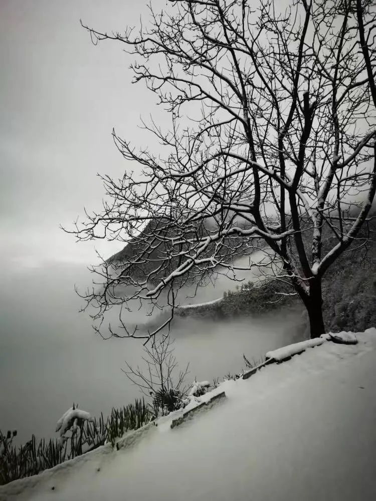 湖北多地降雪量已超10毫米,湖北多地积雪深度超10cm