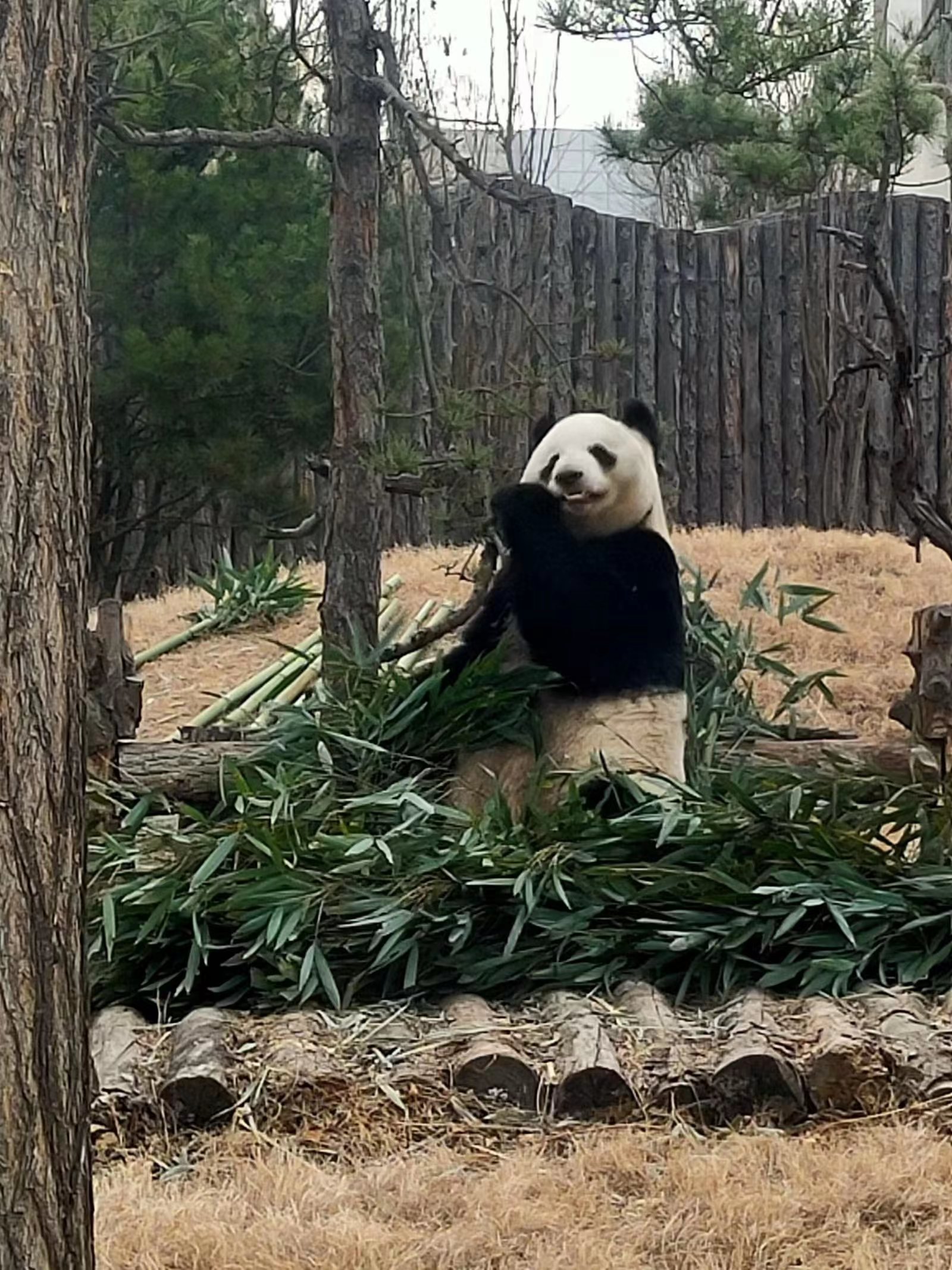 唐山重点暖企惠民政策,唐山惠民中心