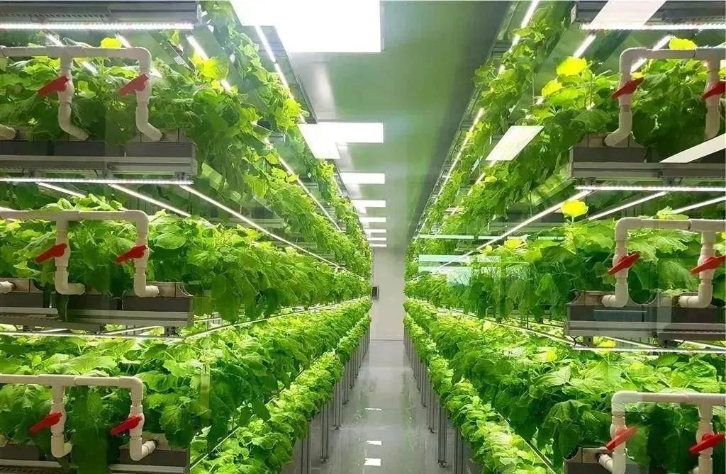 智慧农业前景,智慧农业发展前景及市场分析