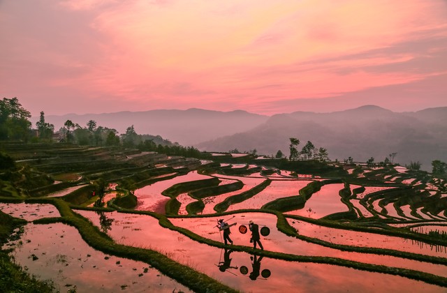 乡土中国费孝通人情世故,乡土中国费孝通正版