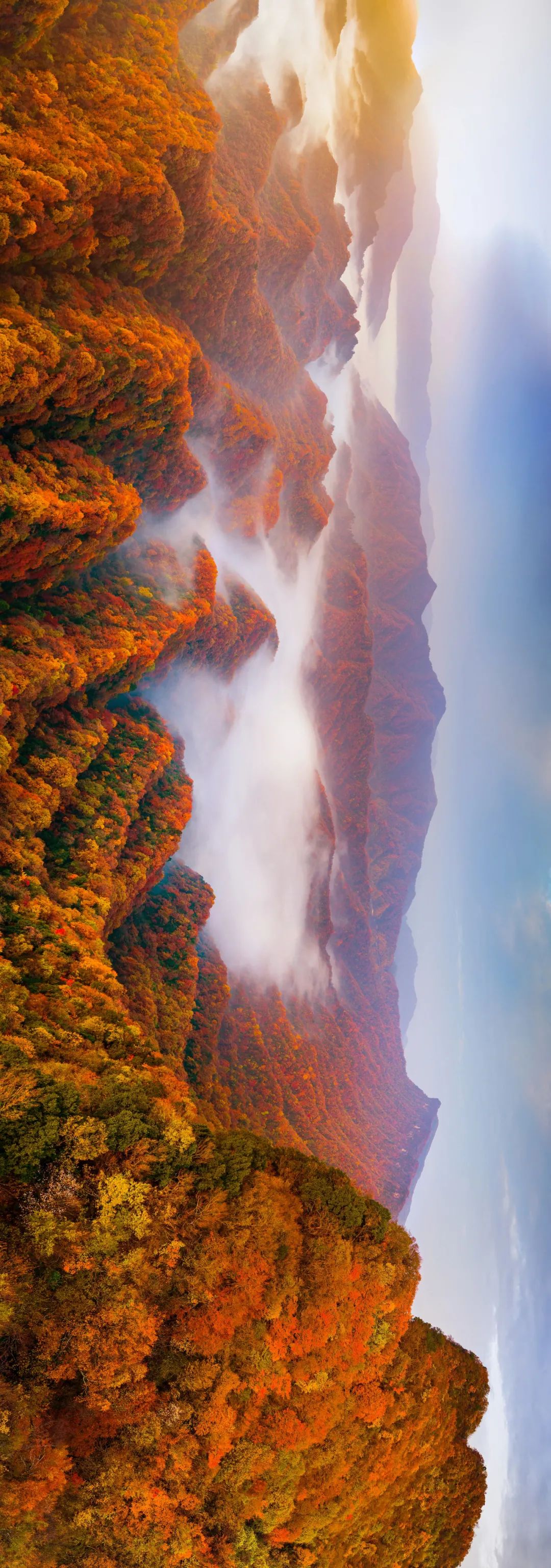 四川光雾山风景视频,光雾山旅游景区