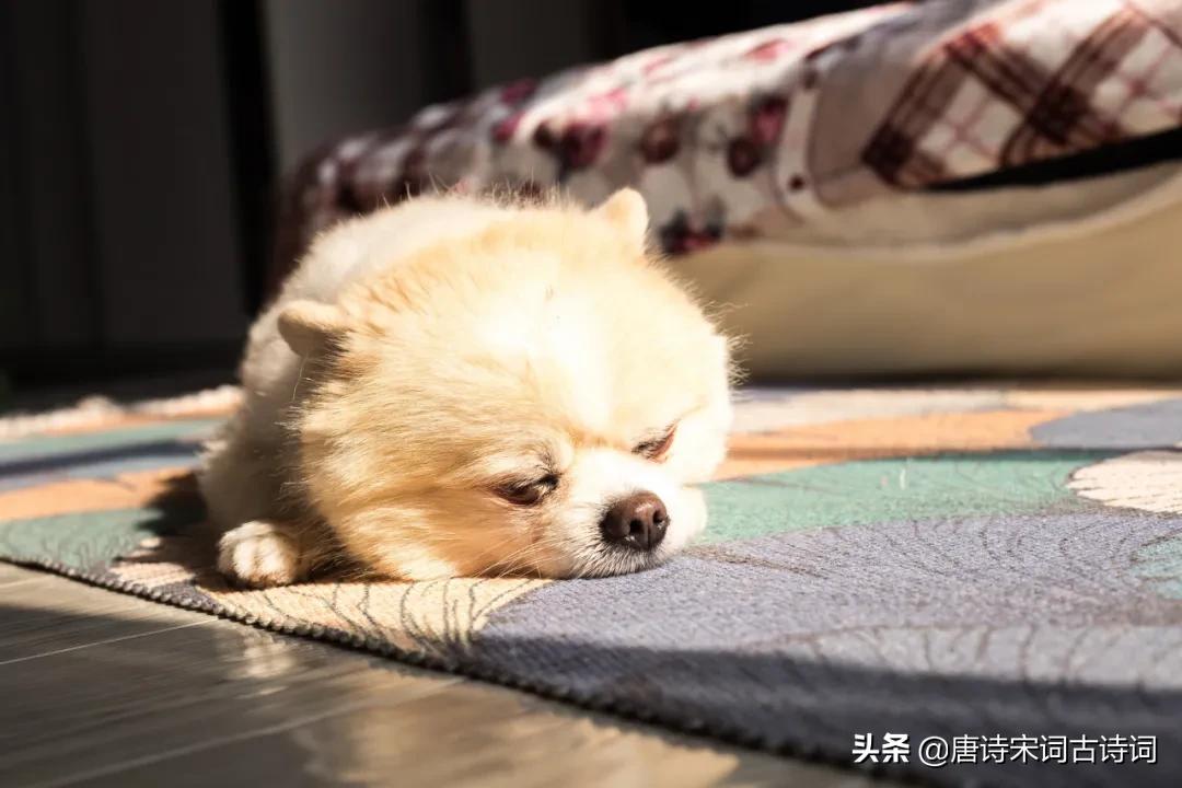 古诗词中托物言志的事物,古诗词中蕴含的文化