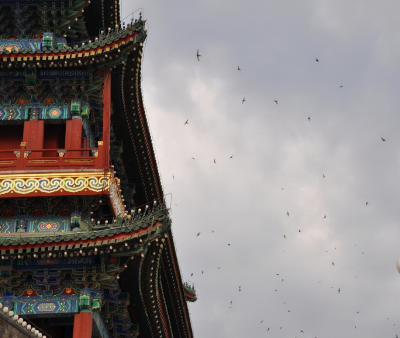 鐧鹃笩楦ｆ槬楂樻竻鍥剧墖,鐧鹃笩楦ｆ槬椋庢櫙瑙嗛