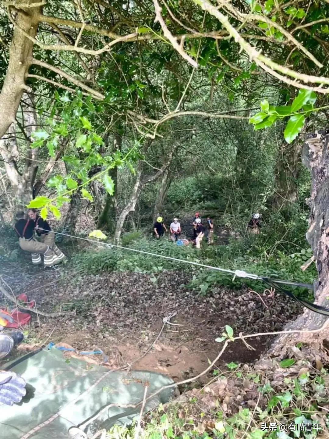 养猫有细菌浪费钱吗,养猫有用吗