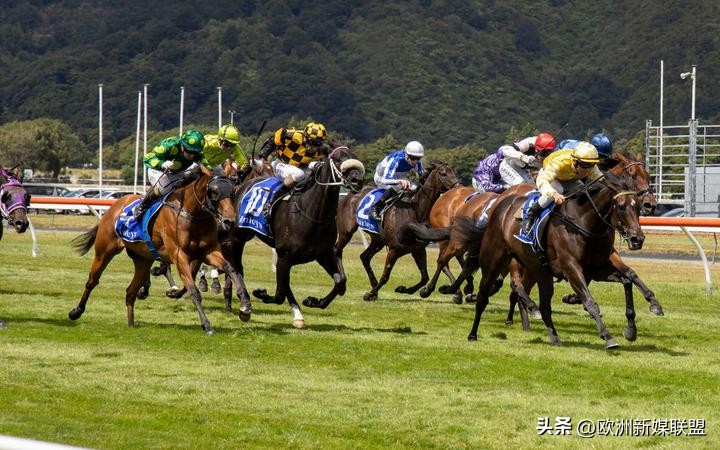 英国赌博巨头Entain即将控制新西兰国有*彩博**机构TAB