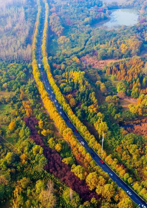 合肥市肥东县十大旅游景点,合肥市旅游景点大全排名榜