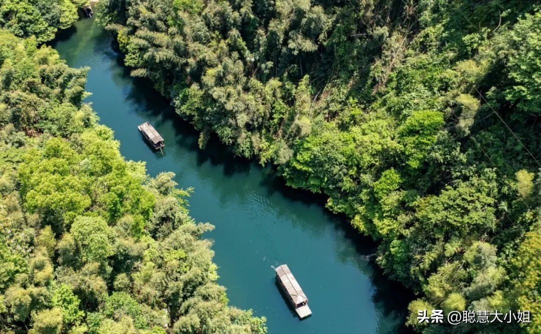 一场烟花登顶热搜！满城美食火成顶流，这座夏日小城太宝藏了！