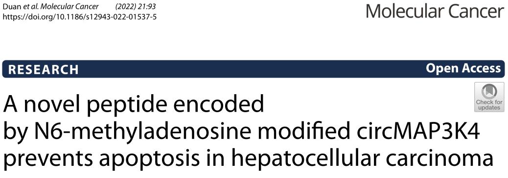 肝炎到肝癌的发展过程,肝癌早期最新研究报告