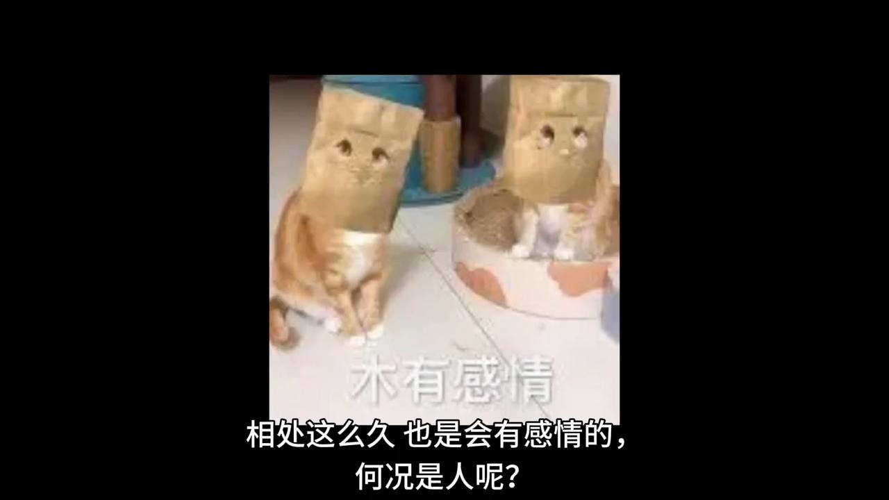 知乎父母反对的爱情该怎么办,知乎高赞回答啃老