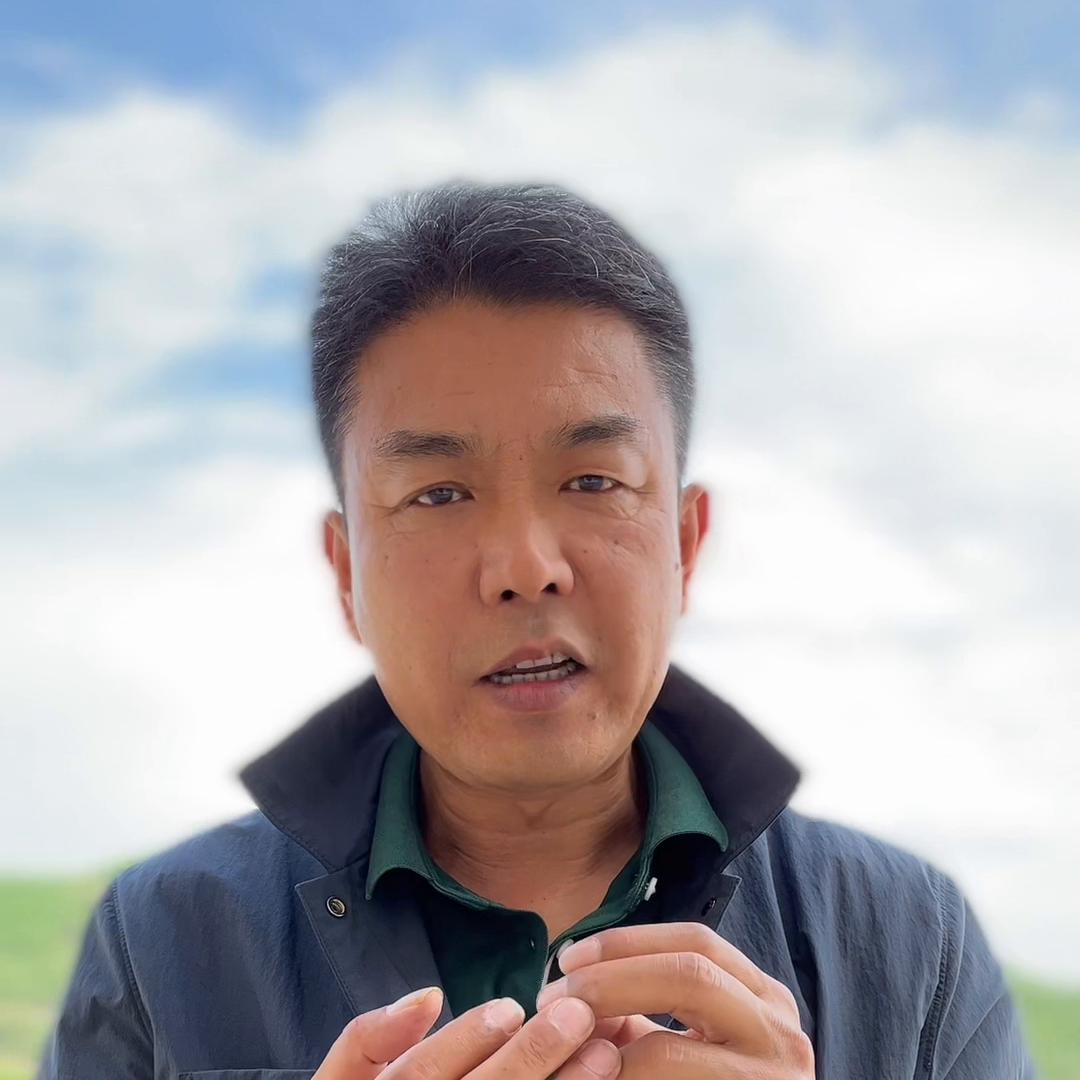 老胡说电影,老胡说车视频