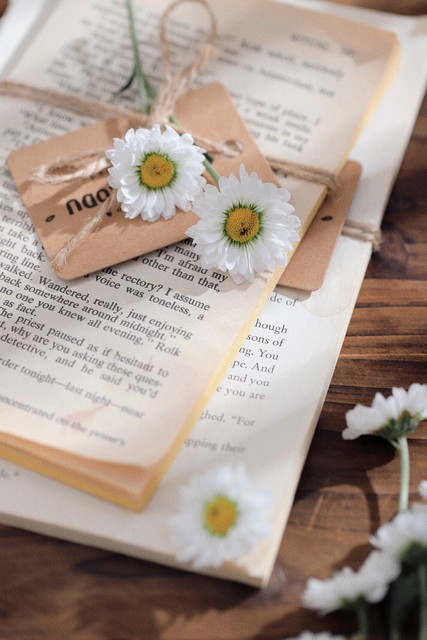 春风十里如沐春风散文,经典里的春天散文