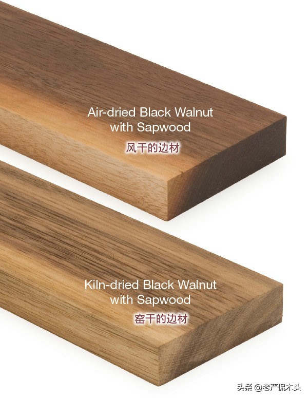 北美黑胡桃是什么木,北美黑胡桃为啥又叫黑核桃