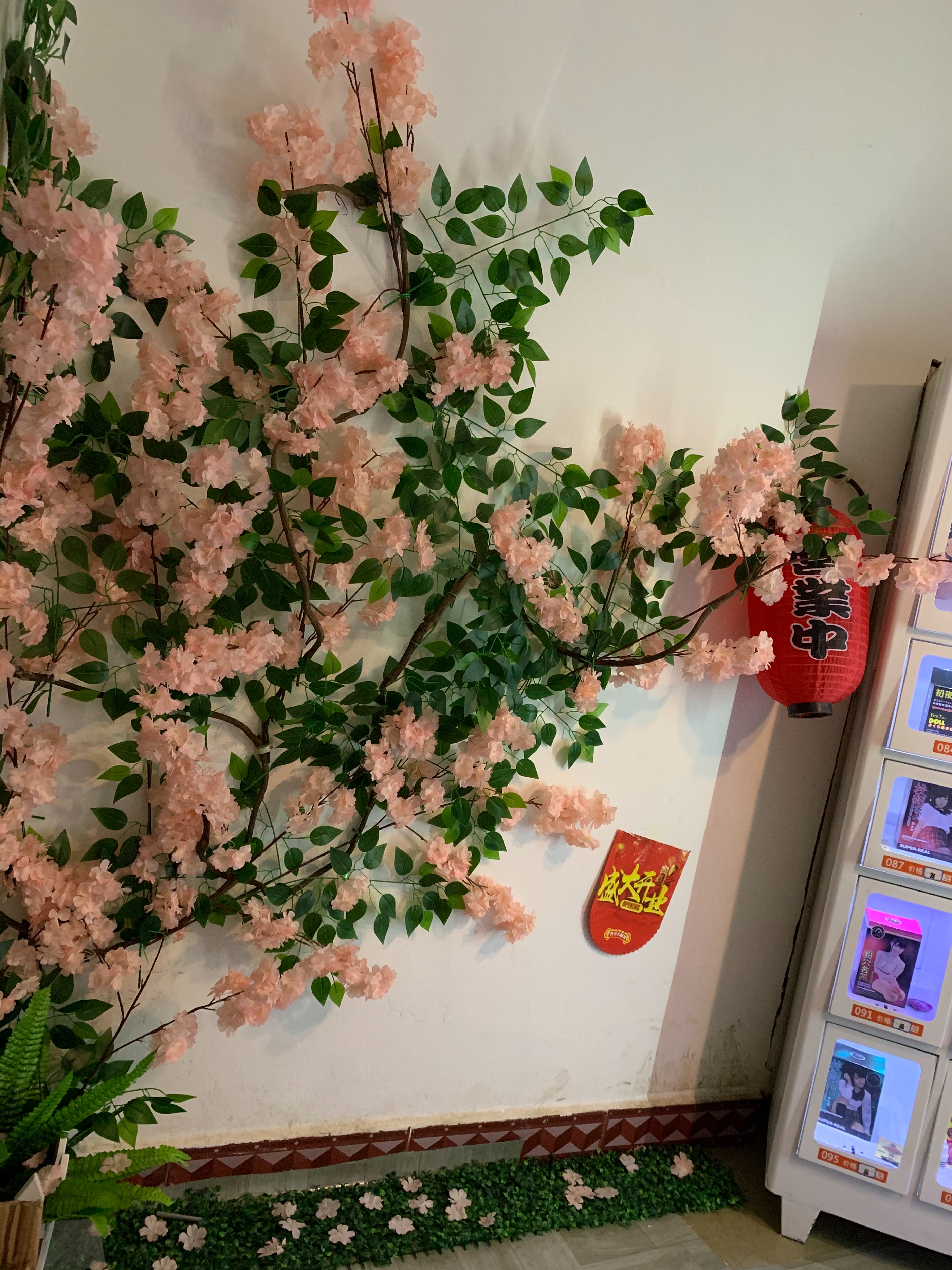 记录我的开店历程,自己开店历程视频