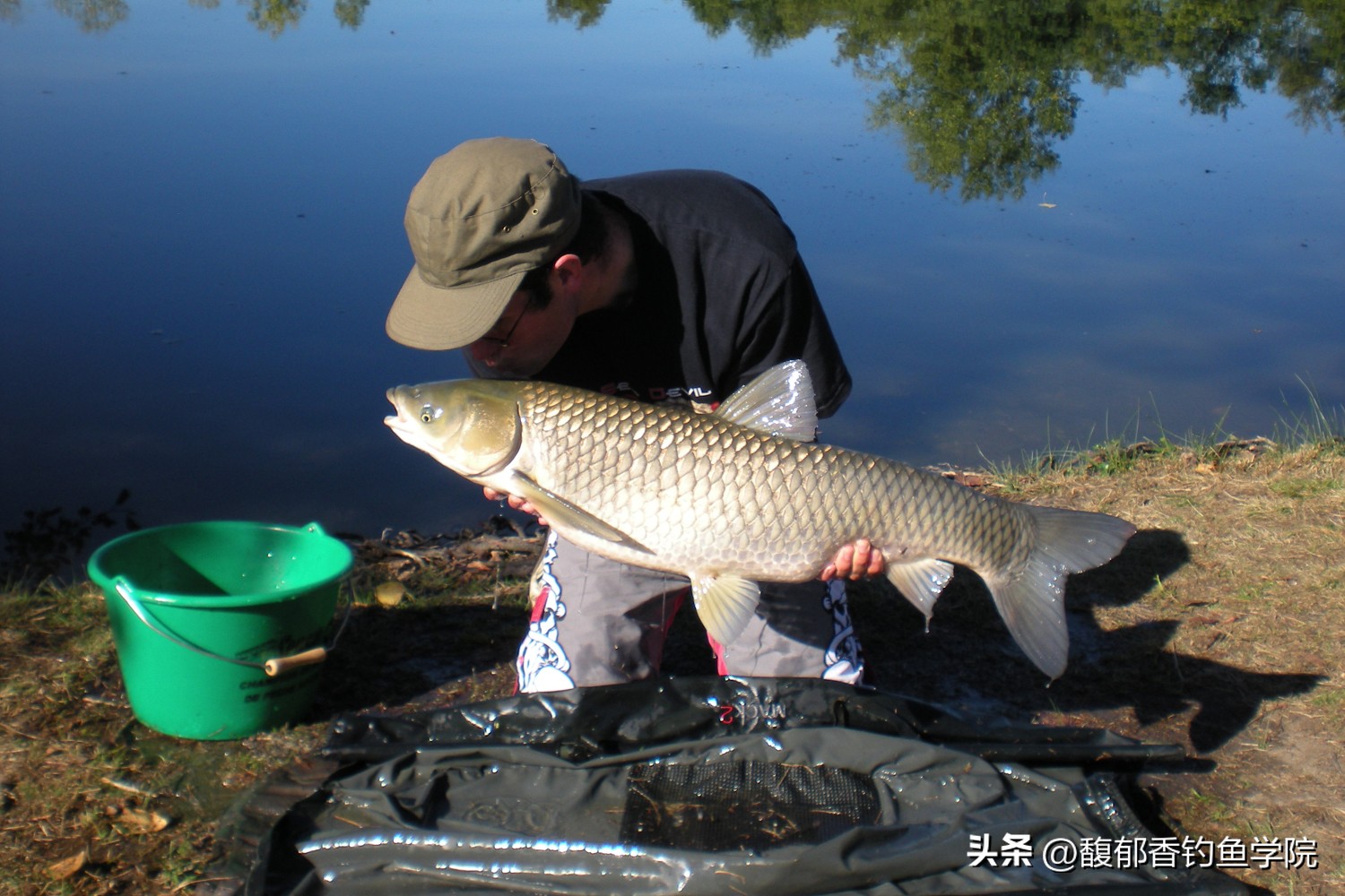 春季钓草鱼怎么打窝效果好,春季钓草鱼绝密技巧