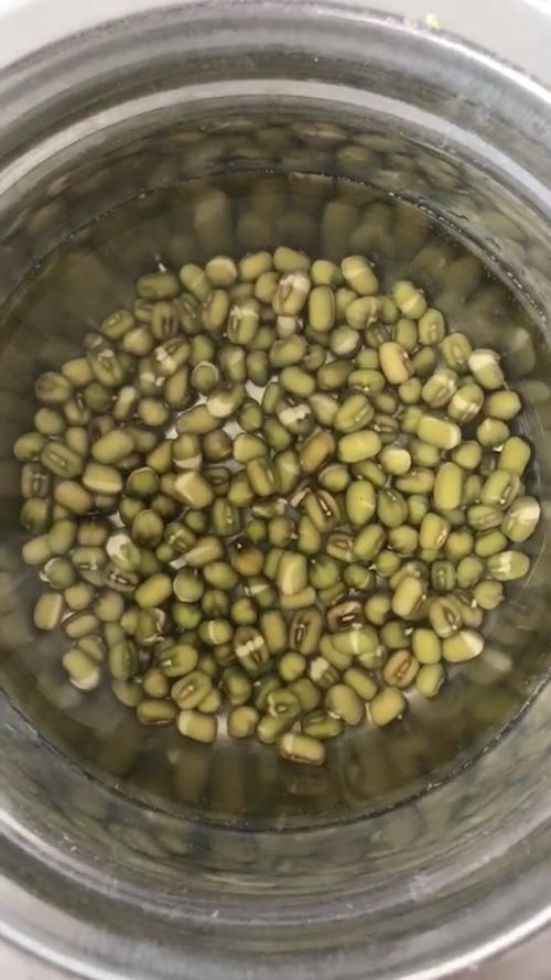 易经4-5全解,易经讲解2024