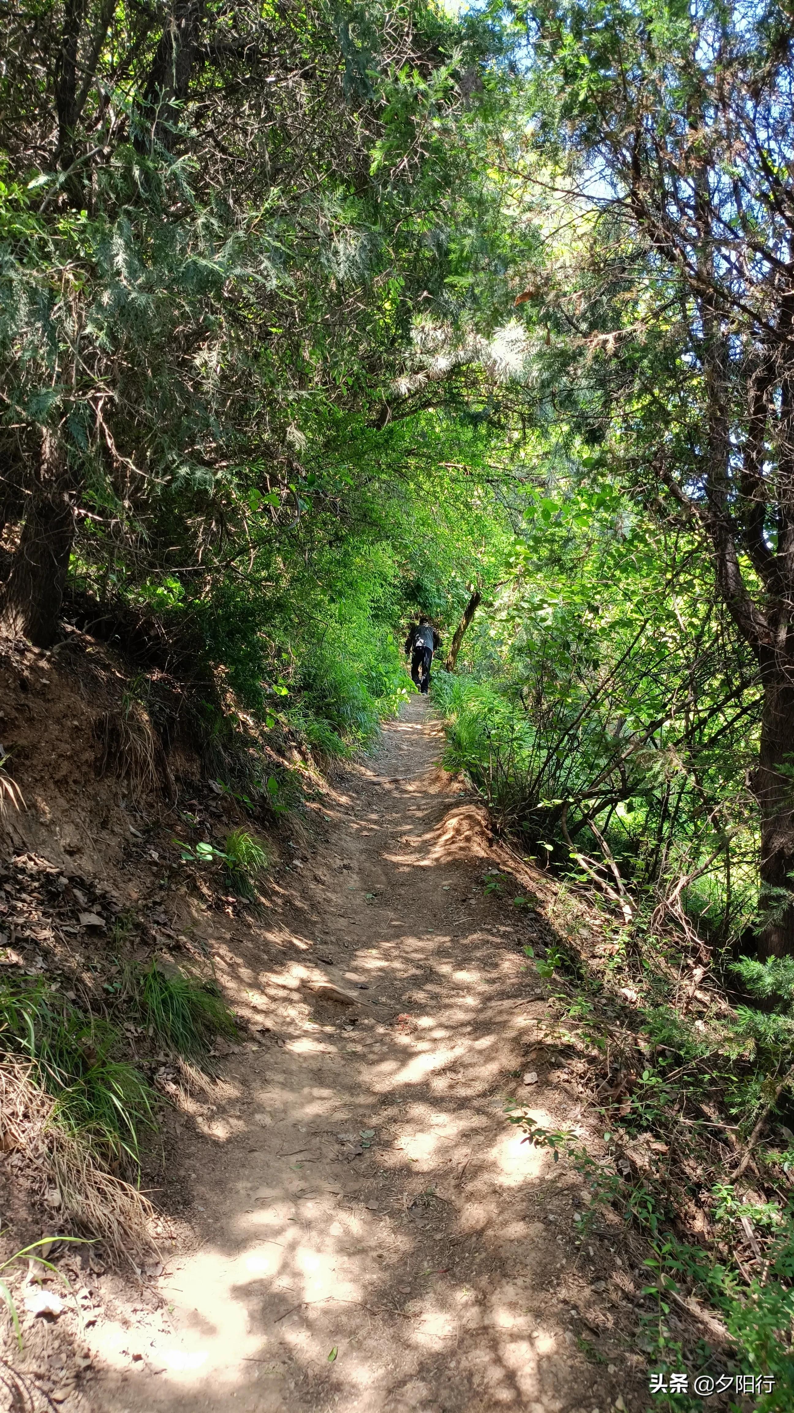 最美爬山公路,最美登山路