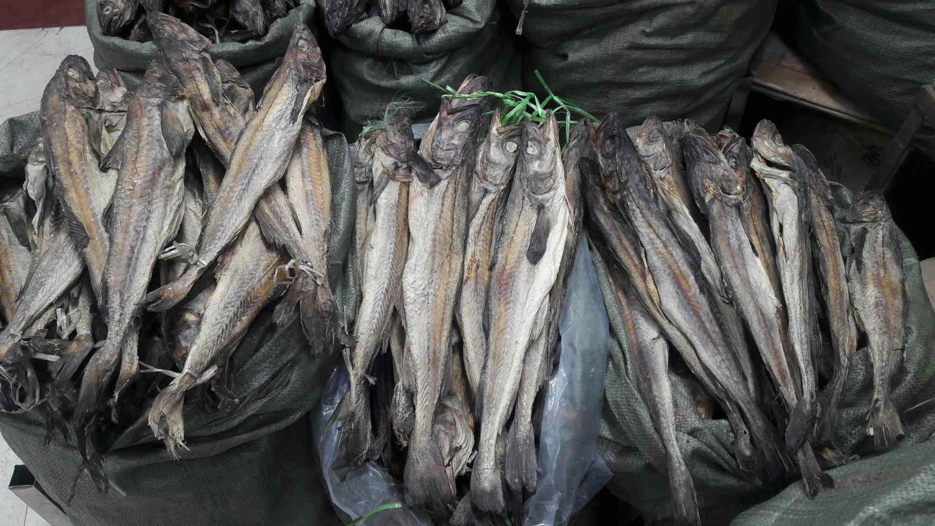 韩国的救命鱼明太鱼,明太鱼在韩国有多受欢迎