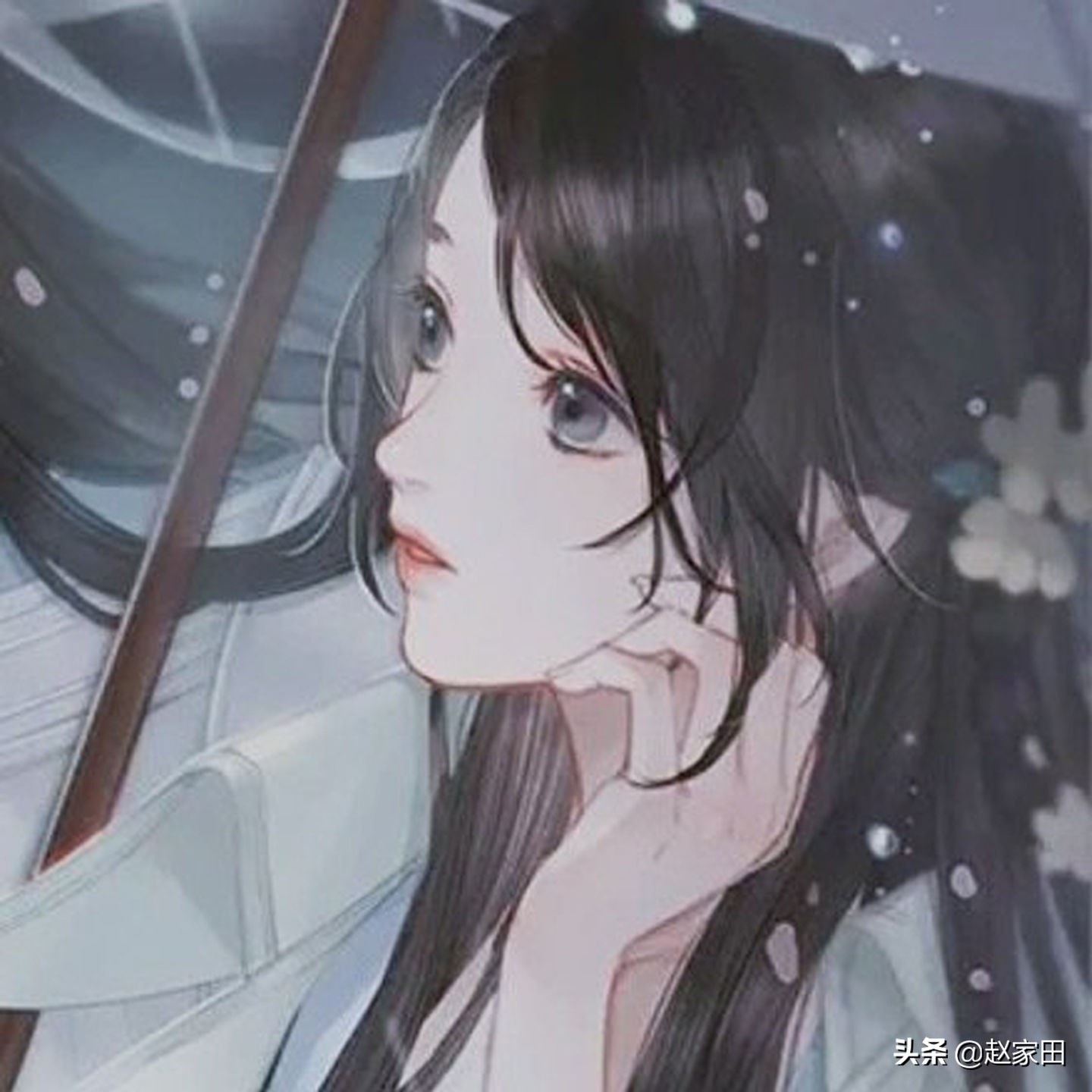 古言悬疑探案推荐,最新好看古言探案文