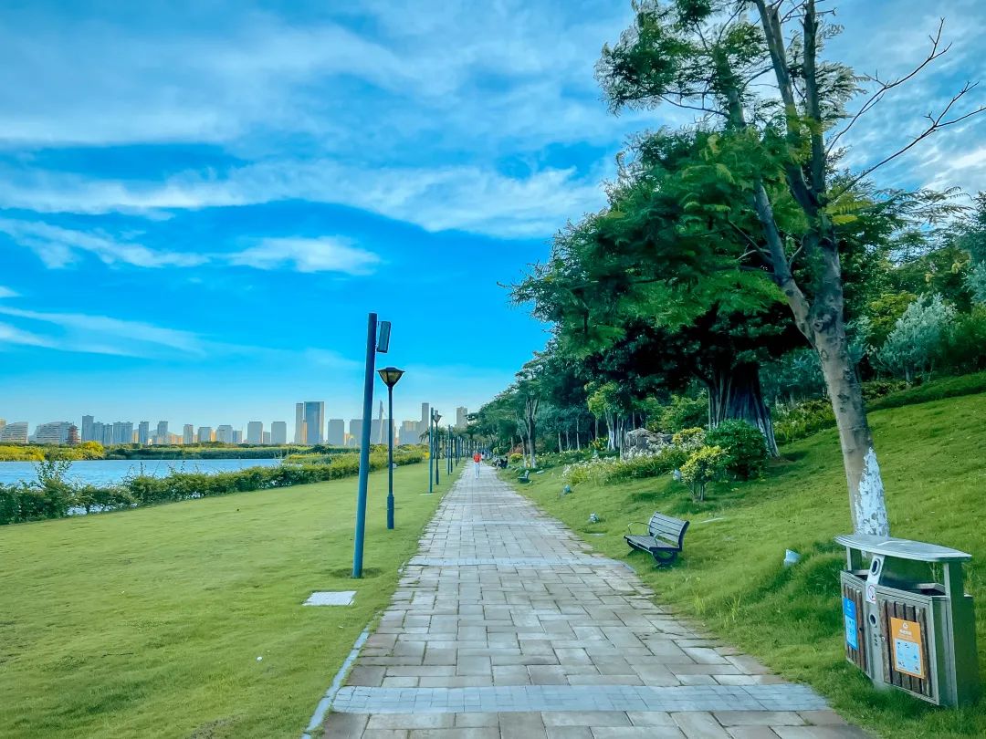 厦门油画公园,厦门油画写实风景