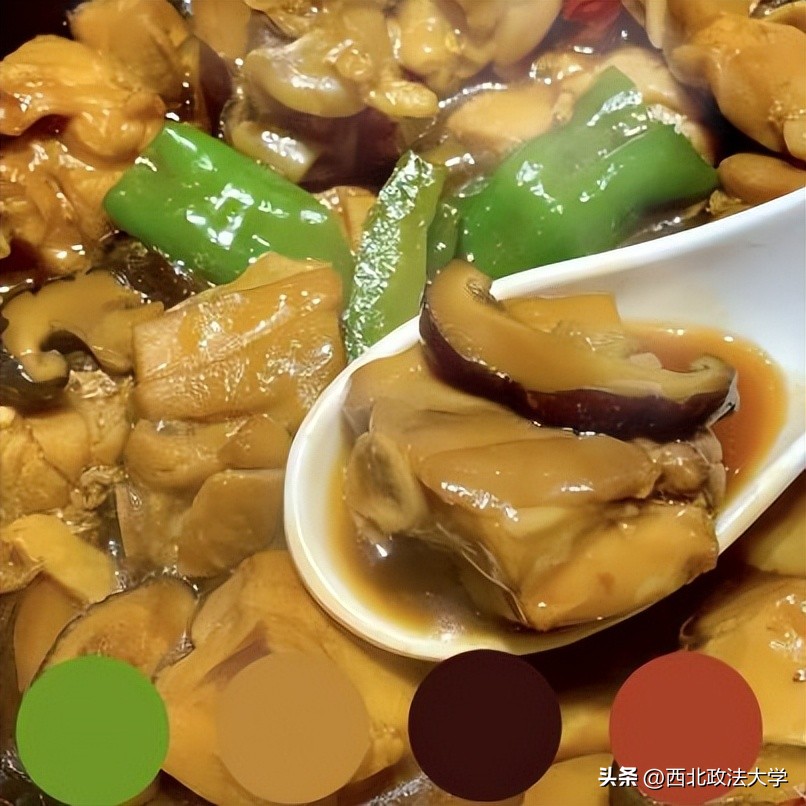 你为什么考研选择西法大,为什么选择西法大