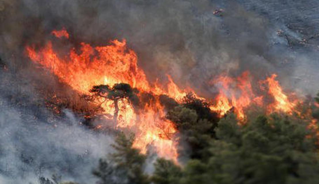 日本回收中国的烟头干什么,日本收购废弃烟头的目的