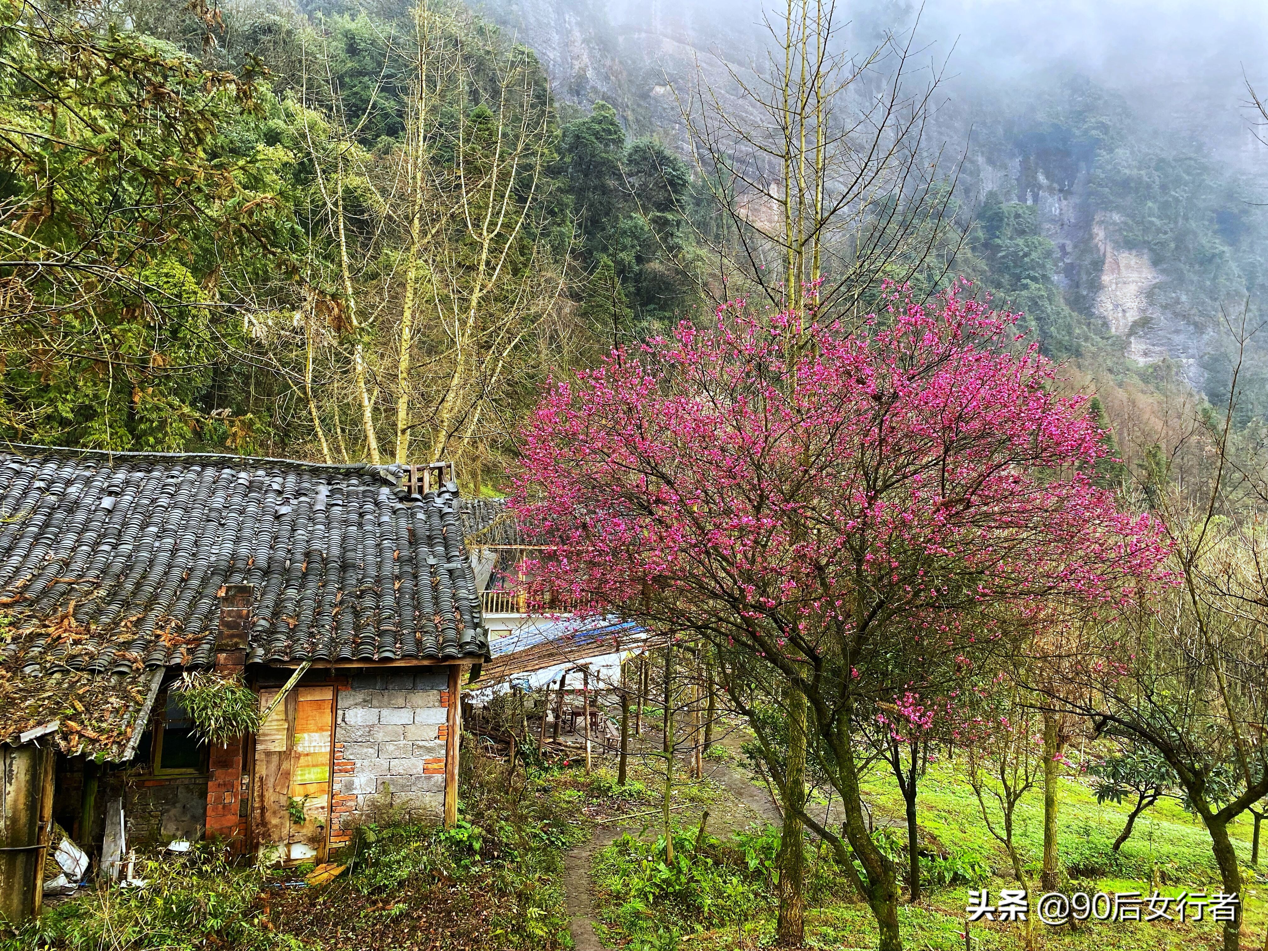 下雨天去拜访师傅合适吗,雨天去青城山