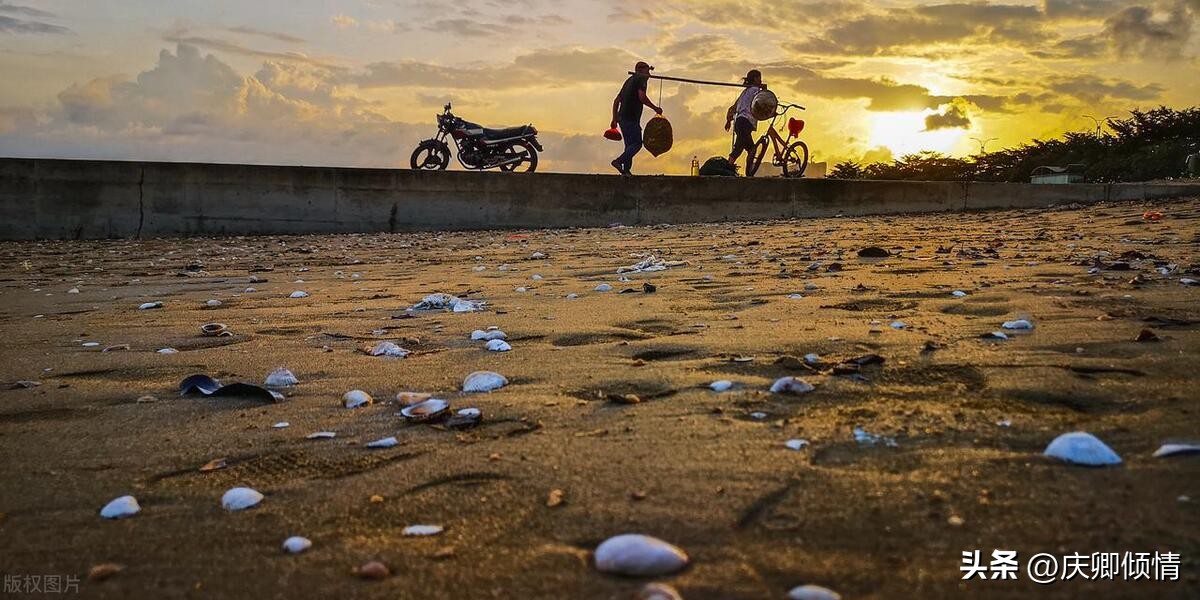 广西阳朔旅游攻略自驾游路线,广西自驾游旅游攻略必玩的景点