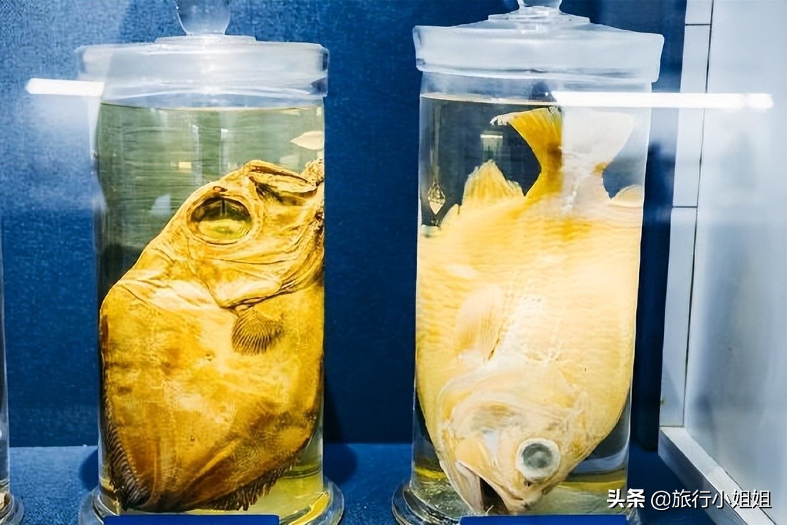 夏日海边浪漫迷人,滨城风光秀丽浪漫气息爆表