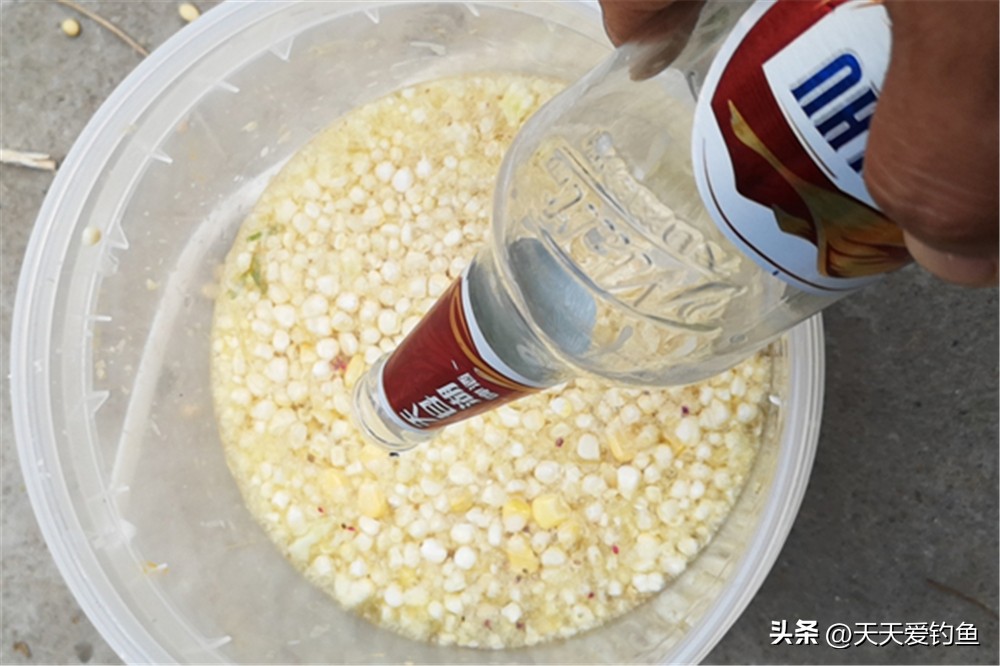 玉米怎么挂钩更容易中鱼,玉米饵鱼不吃钩怎么办