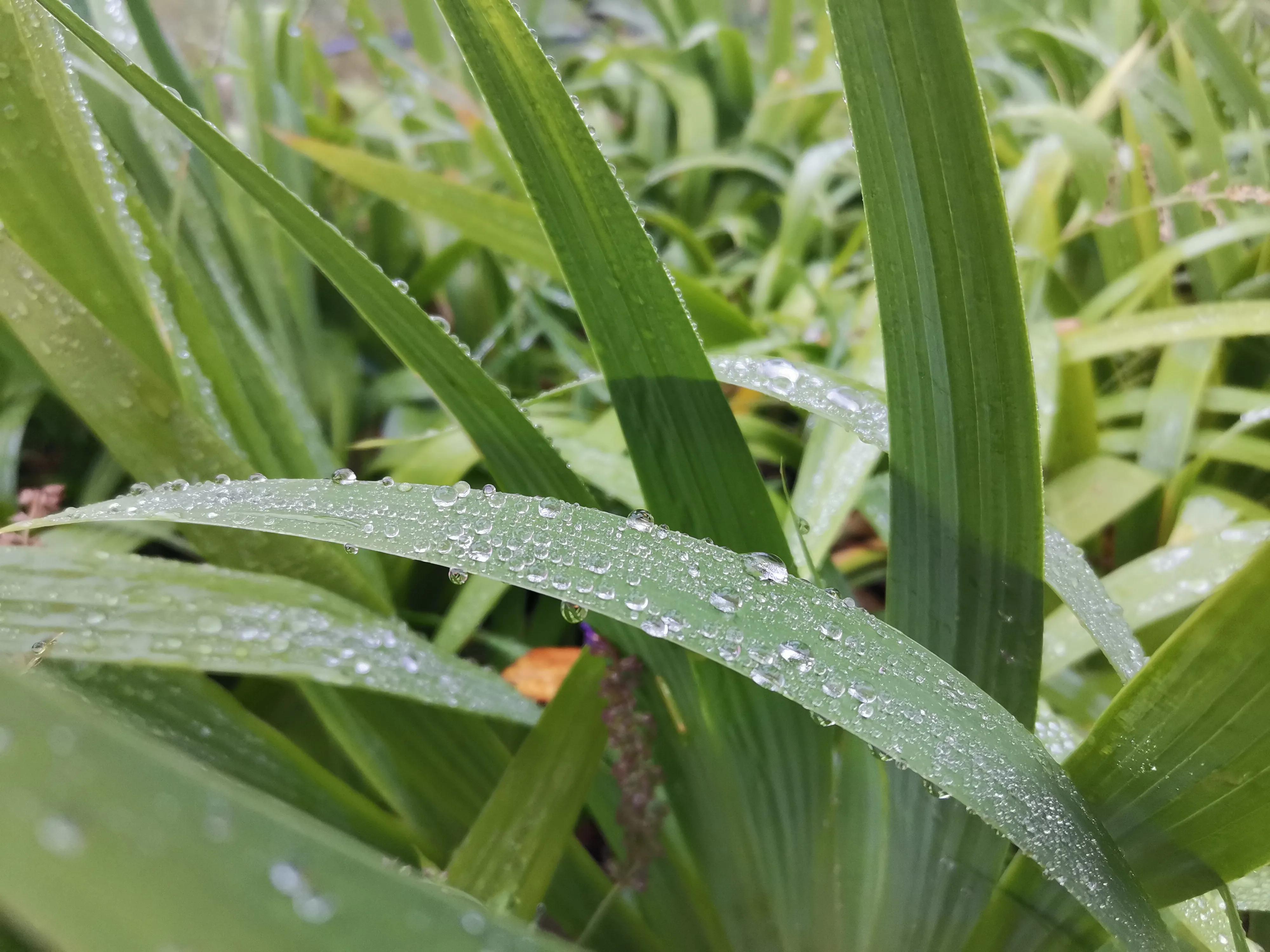 秋雨绵绵凉意浓浓,秋雨绵绵雾茫茫