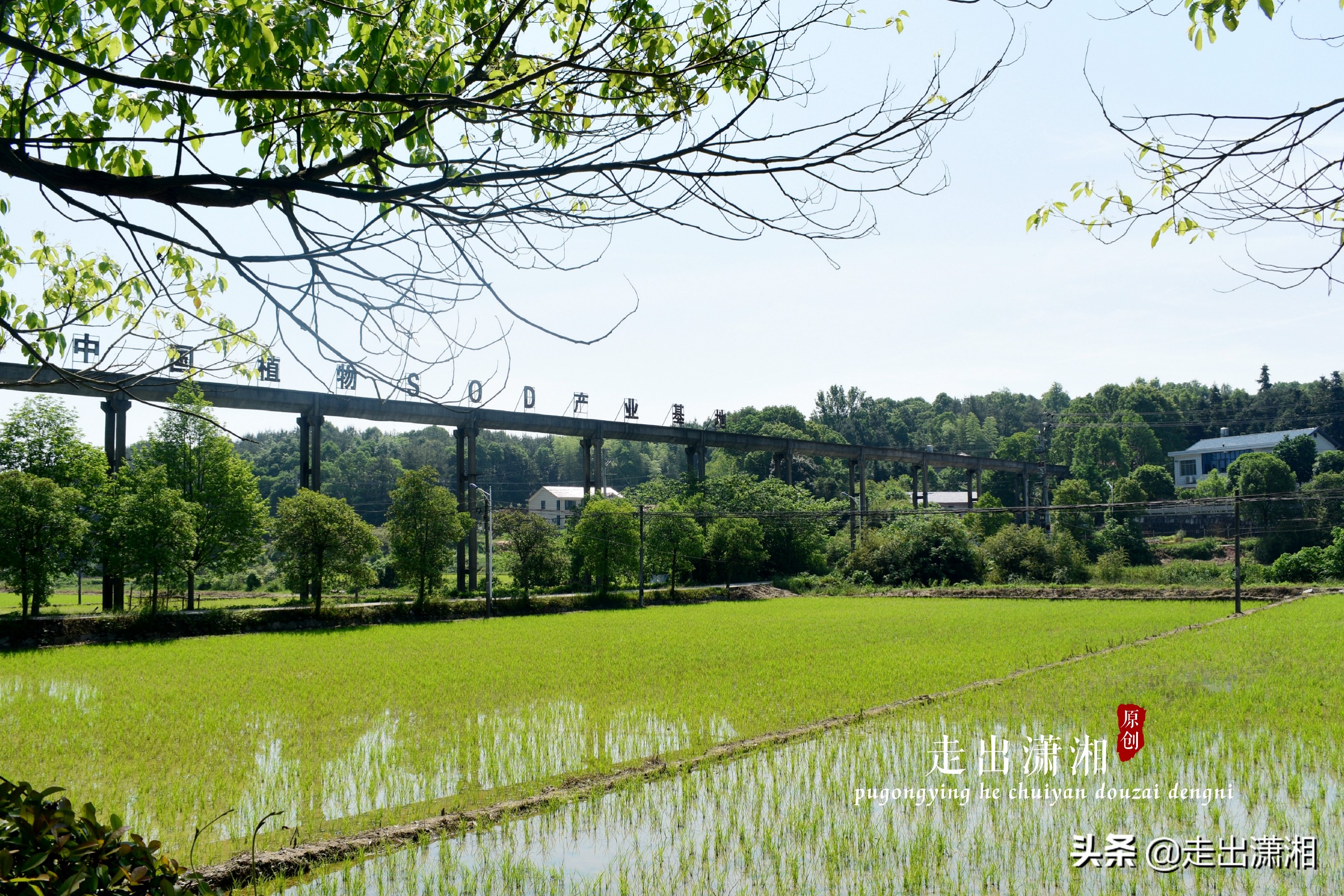 灏忎紬绉樺闀挎矙娣卞北,闀挎矙鍖楀北妫灄鍏洯娓歌