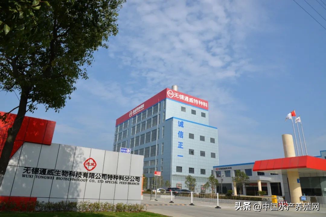 鲈鱼损失惨重,目前鲈鱼掉价的真正原因