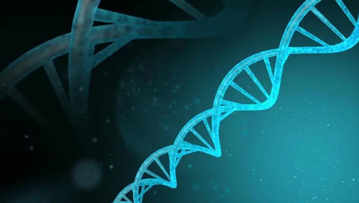 拼多多被消费降级,拼多多市值是不是高估了