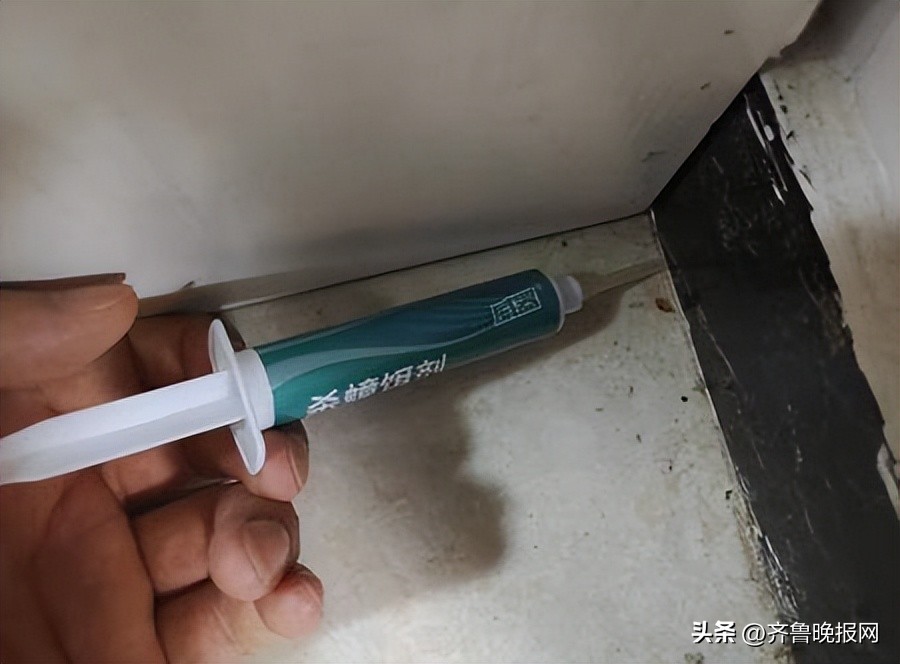 蟑螂怎么消灭最干净彻底的办法,怎么消灭4种蟑螂最有效的方法