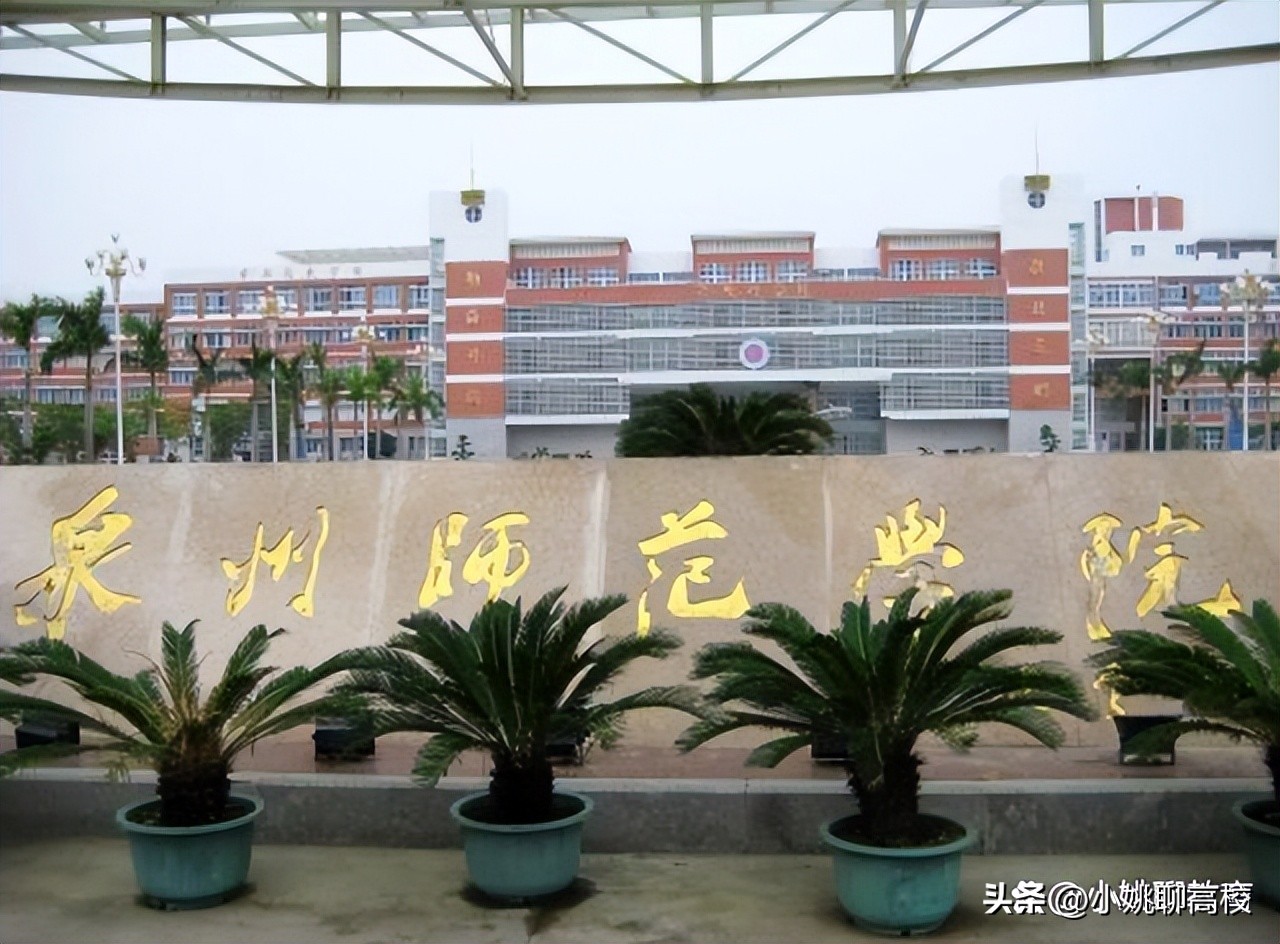 泉州师范学院vs福建师范学院,泉州师范学院和宁德师范学院