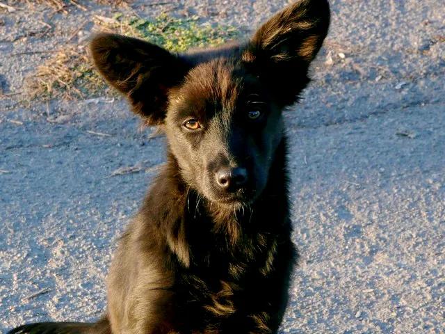 公公生病住院该不该拿钱给他看,公公生病住院不出钱让儿女掏钱