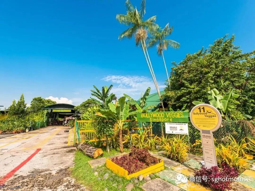 新加坡遛娃免费景点推荐一下,新加坡周末遛娃