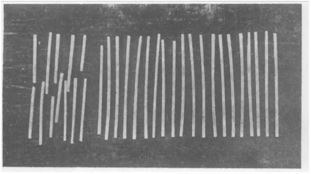 数学发展史大致分为哪几个阶段,数学发展史大致分为四个阶段